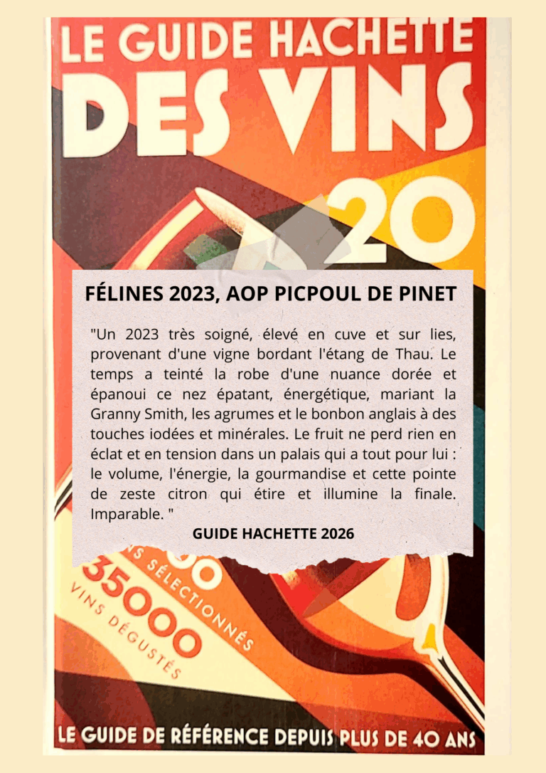 Coup de coeur Guide Hachette 2026